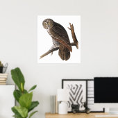 Poster/Prints: Audubon - Great Gray Owl Poster (Heimbüro)