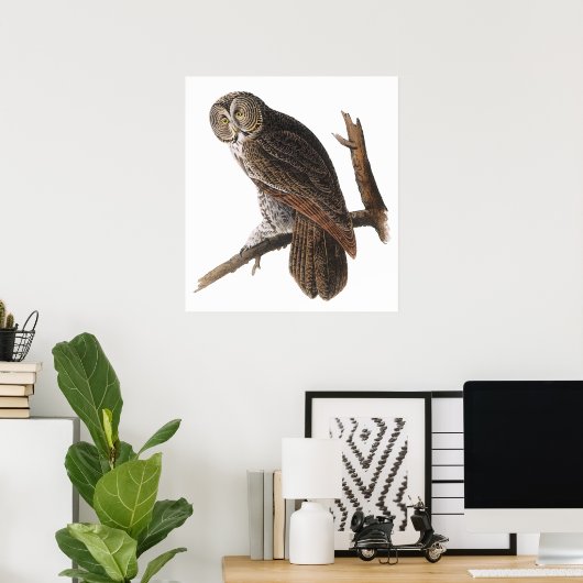 Poster/Prints: Audubon - Great Gray Owl Poster (Heimbüro)