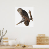 Poster/Prints: Audubon - Great Gray Owl Poster (Küche)