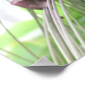 Poster-Prints für tropische Pflanze Poster (Ecke)