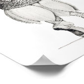 Poster "Prinzessin Fisherina"  (Ecke)