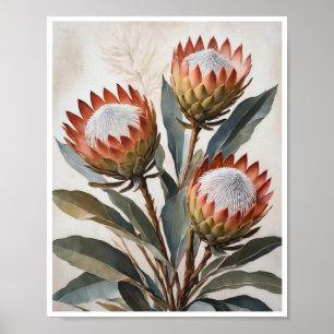 Poster Protea Blume Malerei Wand Art Room Decke