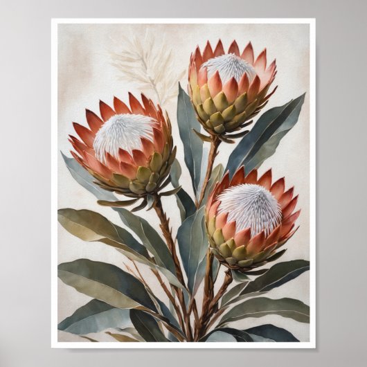Poster Protea Blume Malerei Wand Art Room Decke (Vorne)