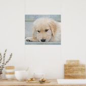 Poster Pup (Küche)