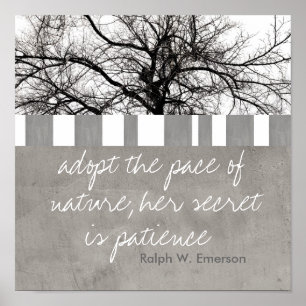 Poster Ralph W Emerson zitieren Natur Foto Art