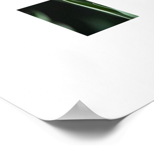 Poster Red Tulips (Ecke)