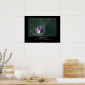 Poster "Relapse" für Weißhaie (Küche)