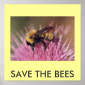 Poster: RETT DER BIENEN Poster (Vorne)