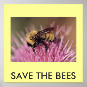 Poster: RETT DER BIENEN Poster
