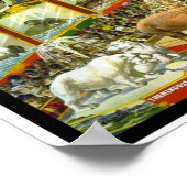 Poster Ringling Brothers Circus "Aviary Aquarium" (Ecke)