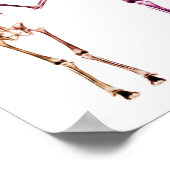 POSTER - RÖHRE SKELETON FAMILY WHITE ORIGINAL (Ecke)