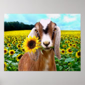 Poster "Rory" (Vorne)