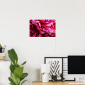 Poster Rosa Pfingstrosenblütenblätter (Heimbüro)