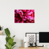 Poster Rosa Pfingstrosenblütenblätter (Heimbüro)