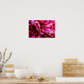 Poster Rosa Pfingstrosenblütenblätter (Küche)