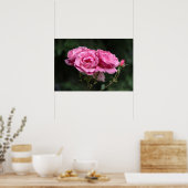 Poster Rosa Rosen Fotografie (Küche)