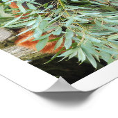 Poster. Rote Panda Poster (Ecke)