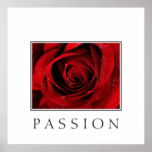 Poster-Rote Rose-Passion Poster (Vorne)