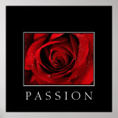Poster-Rote Rose-Passion Poster (Vorne)