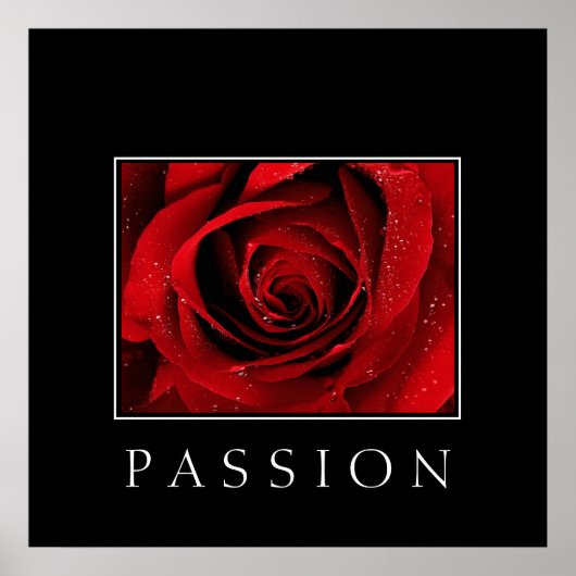 Poster-Rote Rose-Passion Poster (Vorne)