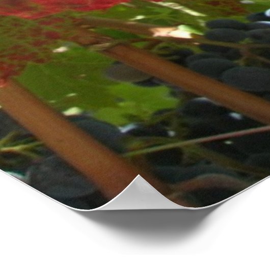 Poster - Rotes Weinblatt (Ecke)