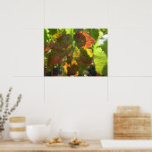 Poster - Rotes Weinblatt (Küche)