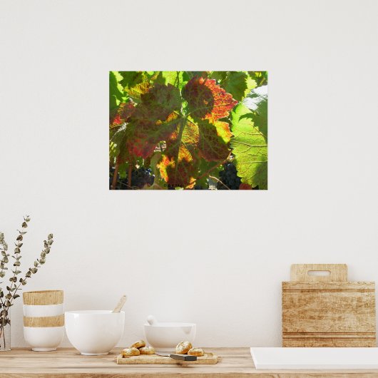 Poster - Rotes Weinblatt (Küche)