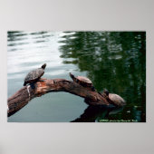 Poster/Rothaarschieber Poster (Vorne)