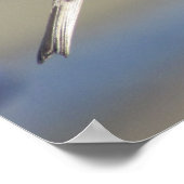 Poster - Rotkopfammer auf Zaun (Ecke)