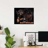 Poster Rottweiler (Heimbüro)