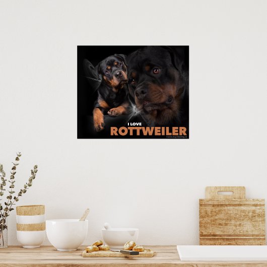 Poster Rottweiler (Küche)