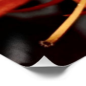 Poster Royal Poinciana (Ecke)