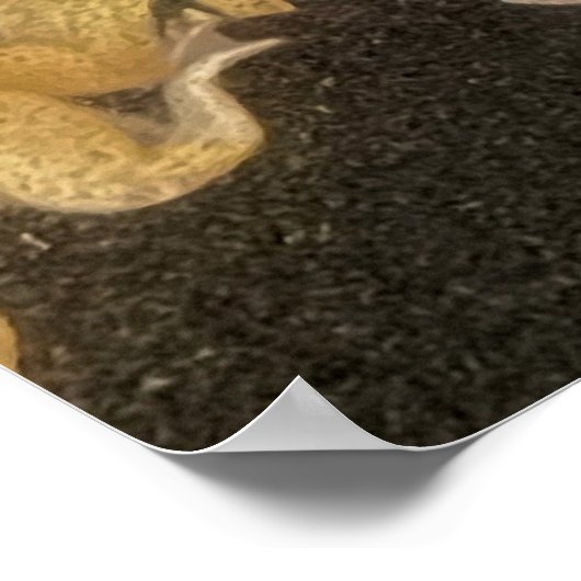 POSTER-Rucksack-Bild Wissenschaftsfrösche schwimme Poster (Ecke)