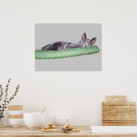 Poster - Russisch Blue Kitten (Küche)