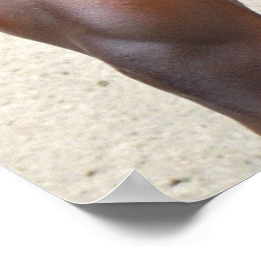 Poster, Sam Addfo, Fingers on Thighs, SAMSAMJ2 Poster (Ecke)