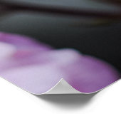 Poster Sanfte rosa Rosen  (Ecke)