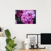 Poster Sanfte rosa Rosen  (Heimbüro)