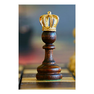 Poster Schach