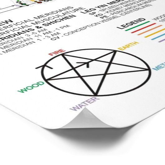 Poster Schematische Chinesische Meridiane Muskulat (Ecke)