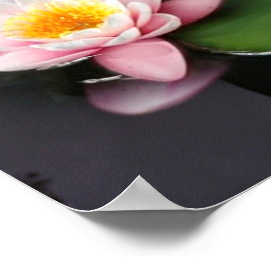 Poster Schöne Meerjungfrau im See mit Lilien (Ecke)