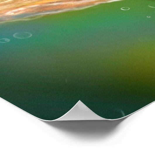 Poster Schöne Meerjungfrau spielt Violine (Ecke)