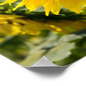 Poster - Schönes Sonnenblumenfeld (Ecke)