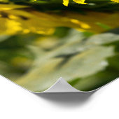 Poster - Schönes Sonnenblumenfeld  (Ecke)