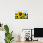 Poster - Schönes Sonnenblumenfeld (Heimbüro)
