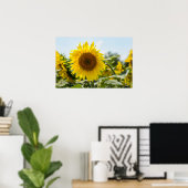 Poster - Schönes Sonnenblumenfeld  (Heimbüro)