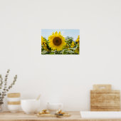 Poster - Schönes Sonnenblumenfeld (Küche)