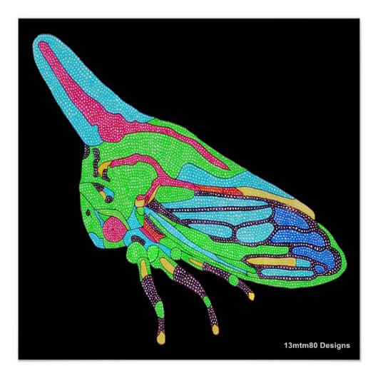 Poster (schwarz) - Oak Treehopper (Vorderseite)