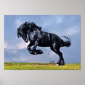 Poster - Schwarzfriespferd läuft gratis (Vorne)