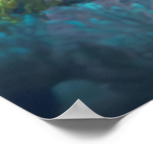 Poster Sea Turtle (Ecke)