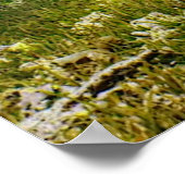 Poster Sea Turtle (Ecke)